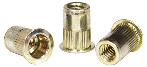 RivetKing - 0.13 to 0.225" Grip, Steel Standard Rivet Nut - Zinc Yellow Dichromate Finish, Flange Head - Makers Industrial Supply