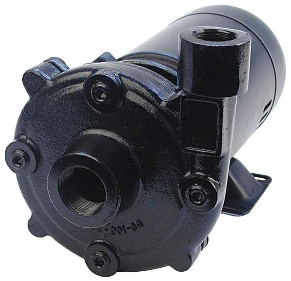 Pentair - ODP Motor, 208-230/460 Volt, 3 Phase, 1/2 HP, Cast Iron Straight Pump - 1-1/4 Inch Inlet, 1 Inch Outlet, 82 Max Head psi, Bronze Impeller, Cast Iron Shaft, Viton Seal, 82 Ft. Shut Off - Makers Industrial Supply