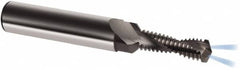 Guhring - M10x1.25 Metric Fine, 0.3465" Cutting Diam, 2 Flute, Solid Carbide Helical Flute Thread Mill - Internal Thread, 26.6mm LOC, 80mm OAL, 12mm Shank Diam - Makers Industrial Supply