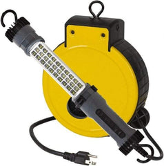 Value Collection - 120 Volt, 5 Watt, Electric, LED Portable Drop Light Work Light - 30' Cord, 1 Head, 300 Lumens, ABS - Makers Industrial Supply