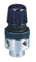 Parker - 1/2 NPT Port, 80 CFM, Stainless Steel Standard Regulator - 0 to 125 psi Range, 300 Max psi Supply Pressure, 1/4" Gauge Port Thread, 2.43" Wide x 4.97" High - Makers Industrial Supply