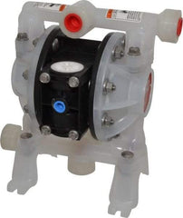 ARO/Ingersoll-Rand - 1/2" NPT, Nonmetallic, Air Operated Diaphragm Pump - Polyurethane Diaphragm, Polypropylene Housing - Makers Industrial Supply