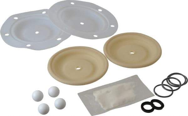 ARO/Ingersoll-Rand - PTFE Fluid Section Repair Kit - For Use with Diaphragm Pumps - Makers Industrial Supply