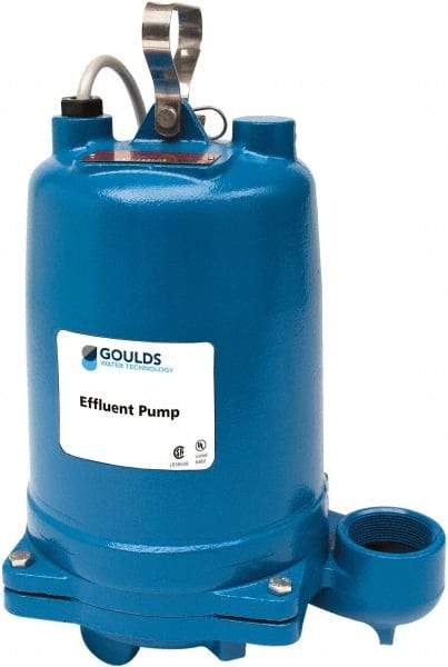 Goulds Pumps - 1 hp, 575 Amp Rating, 575 Volts, Single Speed Continuous Duty Operation, Effluent Pump - 3 Phase, Cast Iron Housing - Makers Industrial Supply