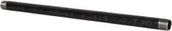 B&K Mueller - Schedule 40, 1" Diam x 24" Long Steel Black Pipe Nipple - Threaded - Makers Industrial Supply