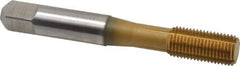 Accupro - 3/8-24 UNF H5 Thread Limit Bottoming Thread Forming Tap - Powdered Metal High Speed Steel, TiN Finish, 2-15/16" OAL - Makers Industrial Supply