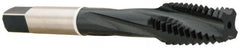 Accupro - #10-32 3 Flute Modified Bottoming Spiral Flute Tap - Vanadium High Speed Steel, Nitride Finish, 2-3/8" OAL, Right Hand Flute, Right Hand Thread, H5 - Makers Industrial Supply