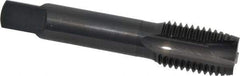 OSG - 1-8 UNC, 3 Flute, Oxide Finish, Vanadium High Speed Steel Spiral Point Tap - Plug Chamfer, Right Hand Thread, 5-1/8" OAL, 2-1/2" Thread Length, 0.8" Shank Diam, 3B Class of Fit, Series 300 - Exact Industrial Supply