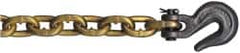 CM - 5/16" Welded Transport Chain Assembly with Clevis Hooks - 4,700 Lb Capacity, Grade 70, 20' Long, Yellow Chromate Finish - Makers Industrial Supply