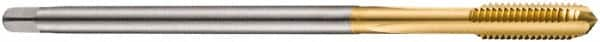 DORMER - M12x1.75 Metric Coarse 6H 3 Flute TiN Finish Cobalt Straight Flute Machine Tap - Bottoming, Right Hand Thread, 119mm OAL, 23mm Thread Length, Oversize - Makers Industrial Supply