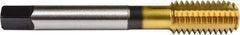 Union Butterfield - 5/16-24 UNF 2B/3B H7 Thread Limit Bottoming Thread Forming Tap - Powdered Metal High Speed Steel, TiN Finish, 2-23/32" OAL, 11/16" Thread Length, Right Hand Thread, Series 1641 - Makers Industrial Supply