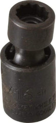 Proto - 1/4" Drive 5/16" Standard Universal Impact Socket - 12 Points, 1-13/32" OAL - Makers Industrial Supply