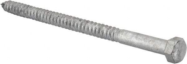 Value Collection - 1/2" Screw, 8" Length Under Head, Steel, Hex Head Lag Screw - Hot Dipped Galvanized, AISI 1006, ASME B18.2.1 Fastner, Grade 1006-1022 - Makers Industrial Supply