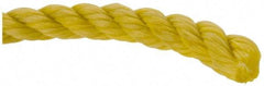 Value Collection - 600' Max Length Polypropylene Rope - 1/2" Diam, 472 Lb Capacity - Makers Industrial Supply