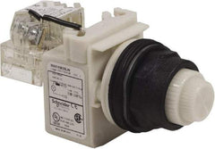 Schneider Electric - 120 V White Lens LED Press-to-Test Indicating Light - Round Lens, Screw Clamp Connector, Corrosion Resistant, Dust Resistant, Oil Resistant - Makers Industrial Supply