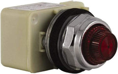 Schneider Electric - Red Lens Indicating Light - Screw Clamp Connector - Makers Industrial Supply