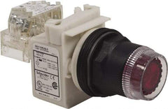 Schneider Electric - 30mm Mount Hole, Extended Straight, Pushbutton Switch with Contact Block - Red Pushbutton, Momentary (MO) - Makers Industrial Supply