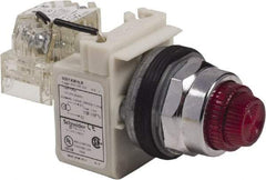 Schneider Electric - 120 VAC Red Lens LED Pilot Light - Round Lens, Screw Clamp Connector - Makers Industrial Supply