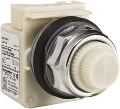 Schneider Electric - 120 VAC White Lens Indicating Light - Screw Clamp Connector - Makers Industrial Supply