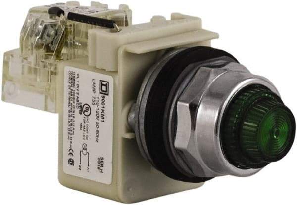 Schneider Electric - 120 VAC Green Lens Indicating Light - Screw Clamp Connector - Makers Industrial Supply