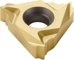 Seco - Laydown Threading Insert - Exact Industrial Supply