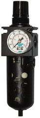 SandPIPER - 1/2" Pump, Filter/Regulator - For Use with Diaphragm Pumps - Makers Industrial Supply