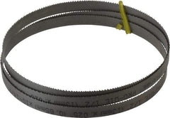 Starrett - 10 to 14 TPI, 5' Long x 1/2" Wide x 0.025" Thick, Welded Band Saw Blade - Bi-Metal, Toothed Edge, Raker Tooth Set, Contour Cutting - Makers Industrial Supply