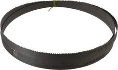 Starrett - 6 to 10 TPI, 8' 2-1/2" Long x 3/4" Wide x 0.035" Thick, Welded Band Saw Blade - Bi-Metal, Toothed Edge, Raker Tooth Set, Contour Cutting - Makers Industrial Supply