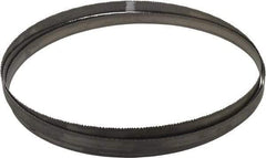 Starrett - 8 to 12 TPI, 9' 7-1/2" Long x 3/4" Wide x 0.035" Thick, Welded Band Saw Blade - Bi-Metal, Toothed Edge, Raker Tooth Set, Contour Cutting - Makers Industrial Supply