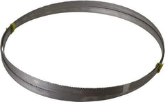 Starrett - 8 to 12 TPI, 11' Long x 3/4" Wide x 0.035" Thick, Welded Band Saw Blade - Bi-Metal, Toothed Edge, Raker Tooth Set, Contour Cutting - Makers Industrial Supply