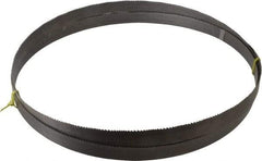 Starrett - 6 to 10 TPI, 12' 10" Long x 1" Wide x 0.035" Thick, Welded Band Saw Blade - Bi-Metal, Toothed Edge, Raker Tooth Set, Contour Cutting - Makers Industrial Supply