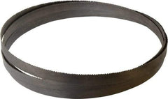 Starrett - 8 to 12 TPI, 14' 6" Long x 3/4" Wide x 0.035" Thick, Welded Band Saw Blade - Bi-Metal, Toothed Edge, Raker Tooth Set, Contour Cutting - Makers Industrial Supply