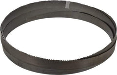 Starrett - 6 to 10 TPI, 15' 6" Long x 1" Wide x 0.035" Thick, Welded Band Saw Blade - Bi-Metal, Toothed Edge, Raker Tooth Set, Contour Cutting - Makers Industrial Supply