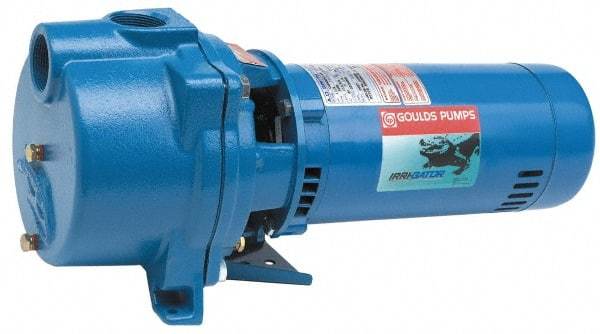 Goulds Pumps - 115/230 Volt, 16.2/8.1 Amp, 1 Phase, 1 HP, Self Priming Centrifugal Pump - 48J Frame, 1-1/2 Inch Inlet, 60 Max GPM, ODP Motor, Cast Iron Housing, Noryl Impeller, 118 Ft. Shut Off, Carbon Ceramic Mechanical Seal - Makers Industrial Supply