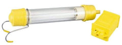 Conductix - 13 Watt, Electric, Fluorescent Portable Handheld Work Light - 1 Head - Makers Industrial Supply