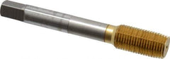 OSG - 1/2-20 UNF H5 Thread Limit Plug Thread Forming Tap - Cobalt, TiN Finish, 3-3/8" OAL, 1-21/32" Thread Length, Right Hand Thread, Series HY-PRO NRT - Makers Industrial Supply