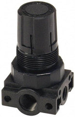 Parker - 3/8 NPT Port, Plastic Miniature Regulator - 0 to 60 psi Range, 150 Max psi Supply Pressure, 1/4" Gauge Port Thread, 2.06" Wide x 3.43" High - Makers Industrial Supply