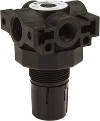 Parker - 3/8 NPT Port, Plastic Miniature Regulator - 0 to 125 psi Range, 150 Max psi Supply Pressure, 1/4" Gauge Port Thread, 2.06" Wide x 3.43" High - Makers Industrial Supply