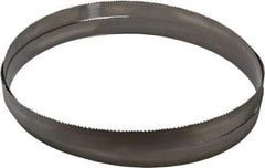 Starrett - 5 to 8 TPI, 12' 6" Long x 1-1/4" Wide x 0.042" Thick, Welded Band Saw Blade - Bi-Metal, Toothed Edge, Modified Tooth Set, Contour Cutting - Makers Industrial Supply