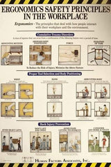 NMC - 24" Wide x 36" High Laminated Paper Ergonomics Information Poster - English - Makers Industrial Supply