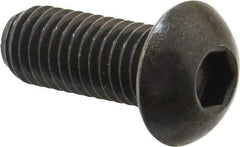 Holo-Krome - 1/2-13 UNC Hex Socket Drive, Button Screw - Alloy Steel, Black Oxide Finish, Fully Threaded, 1-1/4" Length Under Head - Makers Industrial Supply