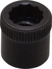 Holo-Krome - 5/16-24" Thread Uncoated Steel Allen Nut - 5/16" Diam, 5/16" Hex Key - Makers Industrial Supply