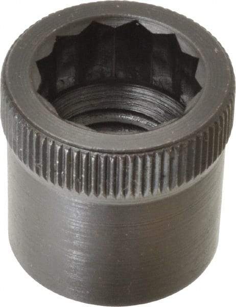 Holo-Krome - 1-8" Thread Uncoated Steel Allen Nut - 1" Diam, 1" Hex Key - Makers Industrial Supply