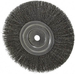 Weiler - 8" OD, 5/8" Arbor Hole, Crimped Steel Wheel Brush - 1/2" Face Width, 2-1/16" Trim Length, 0.0118" Filament Diam, 6,000 RPM - Makers Industrial Supply