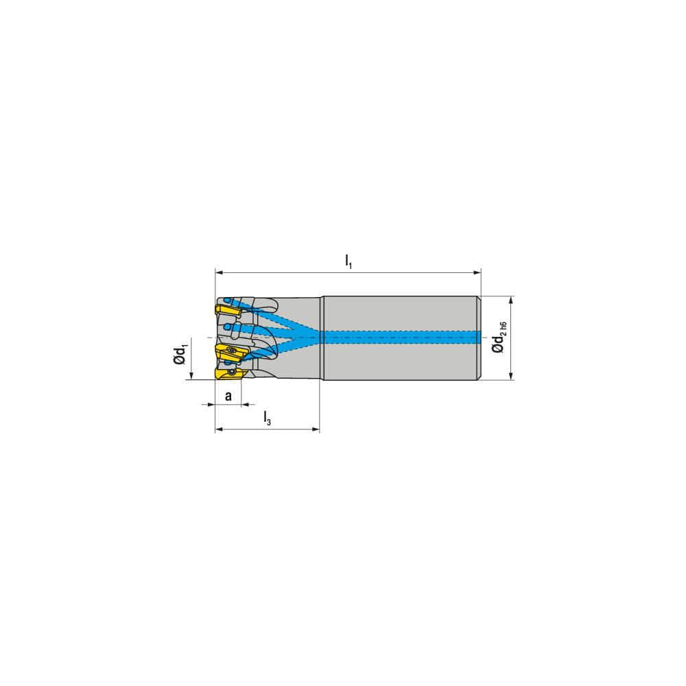 Indexable Square-Shoulder End Mill:  C211.25.R.0411A40165,  25.0000'' Shank Dia,  Cylindrical Shank Uses  4,  Normal Pressure,  165.00 mm OAL