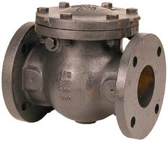 NIBCO - 5" Cast Iron Check Valve - Flanged, 200 WOG - Makers Industrial Supply