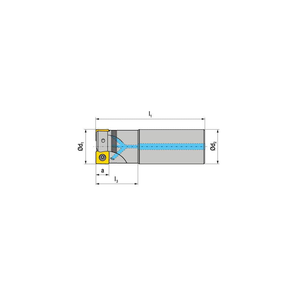 Indexable Square-Shoulder End Mill:  C491.25.R.0309A50225,  25.0000'' Shank Dia,  Cylindrical Shank Uses  3,  Normal Pressure,  225.00 mm OAL