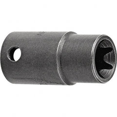 Apex - Impact Sockets Drive Size (Inch): 1/2 Torx Size: E8 - Makers Industrial Supply