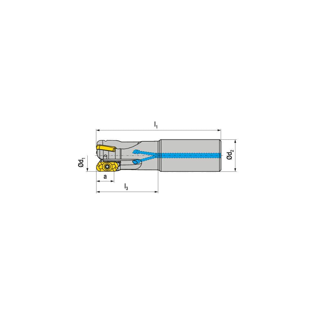 Indexable Square-Shoulder End Mill:  CHPC.32.R.03-19-A-63,  32.0000'' Shank Dia,  Cylindrical Shank Uses  3,  Normal Pressure,  125.00 mm OAL