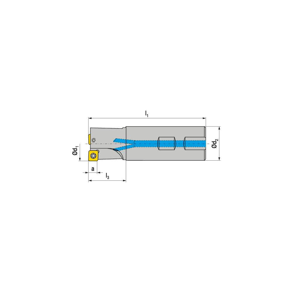 Indexable Square-Shoulder End Mill:  C490.40.R.03,  32.0000'' Shank Dia,  Weldon Flat Shank Uses  3,  Normal Pressure,  115.00 mm OAL